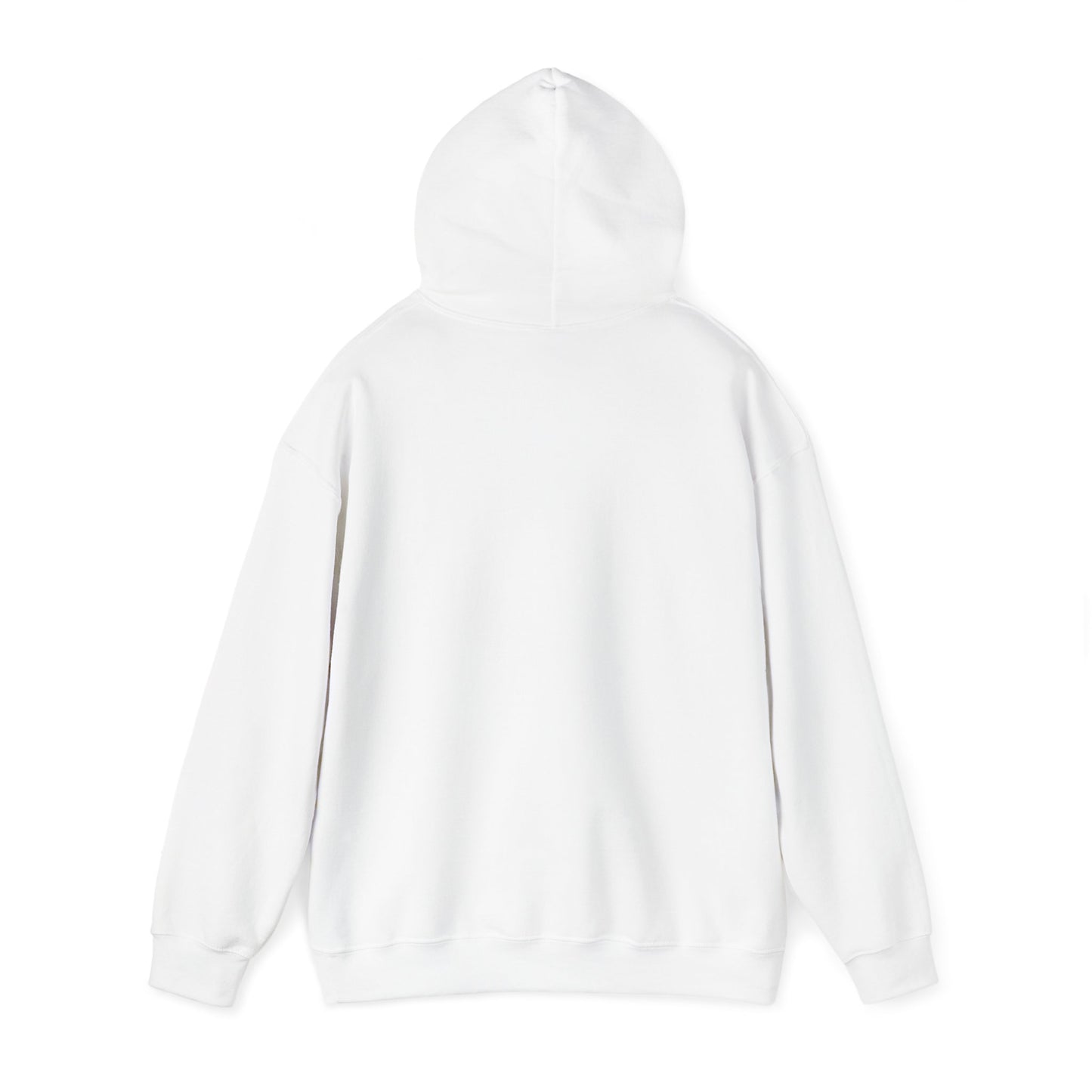 There is No Autism Epidemic Hooded Sweatshirt
