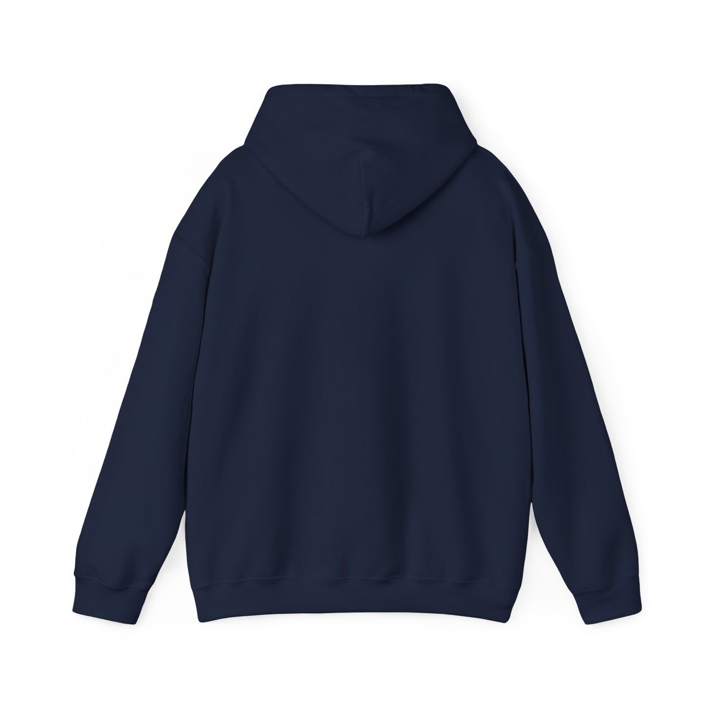 There is No Autism Epidemic Hooded Sweatshirt