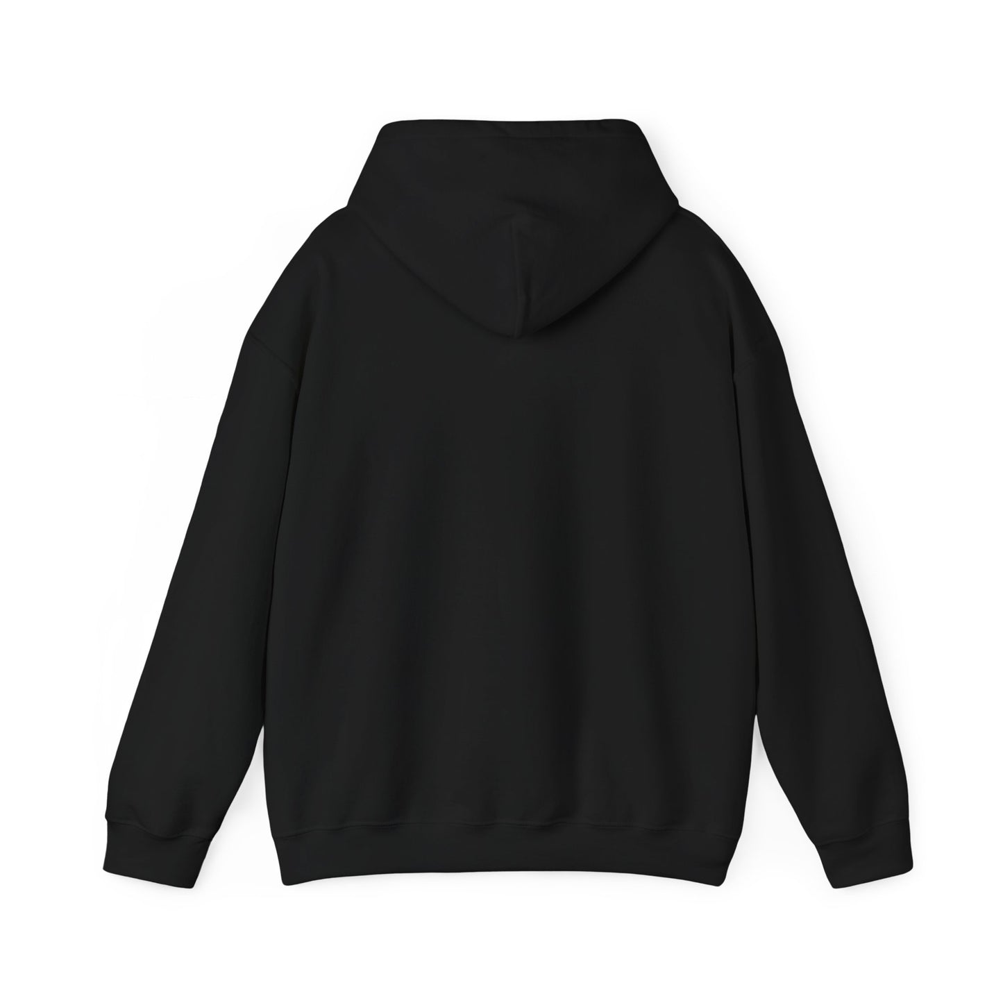 There is No Autism Epidemic Hooded Sweatshirt