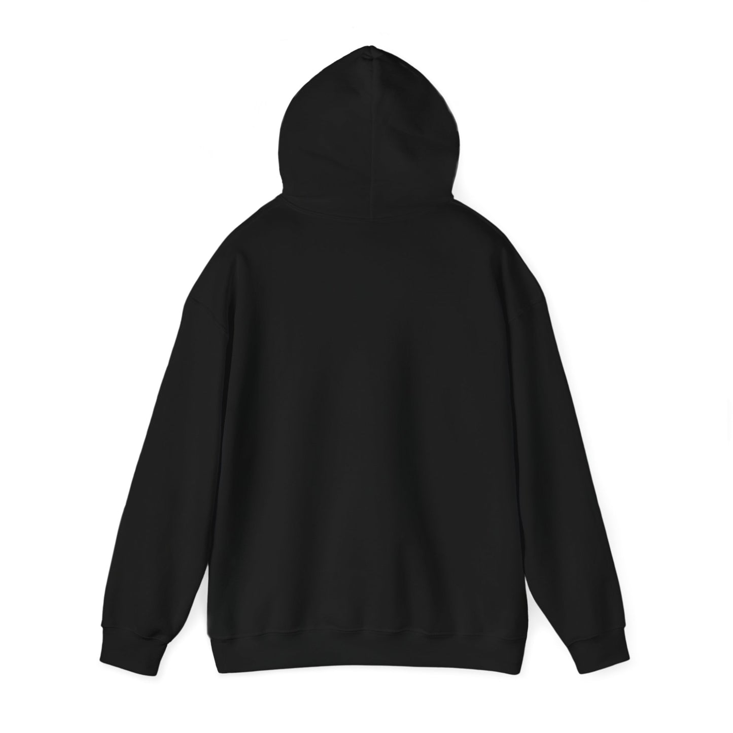 There is No Autism Epidemic Hooded Sweatshirt