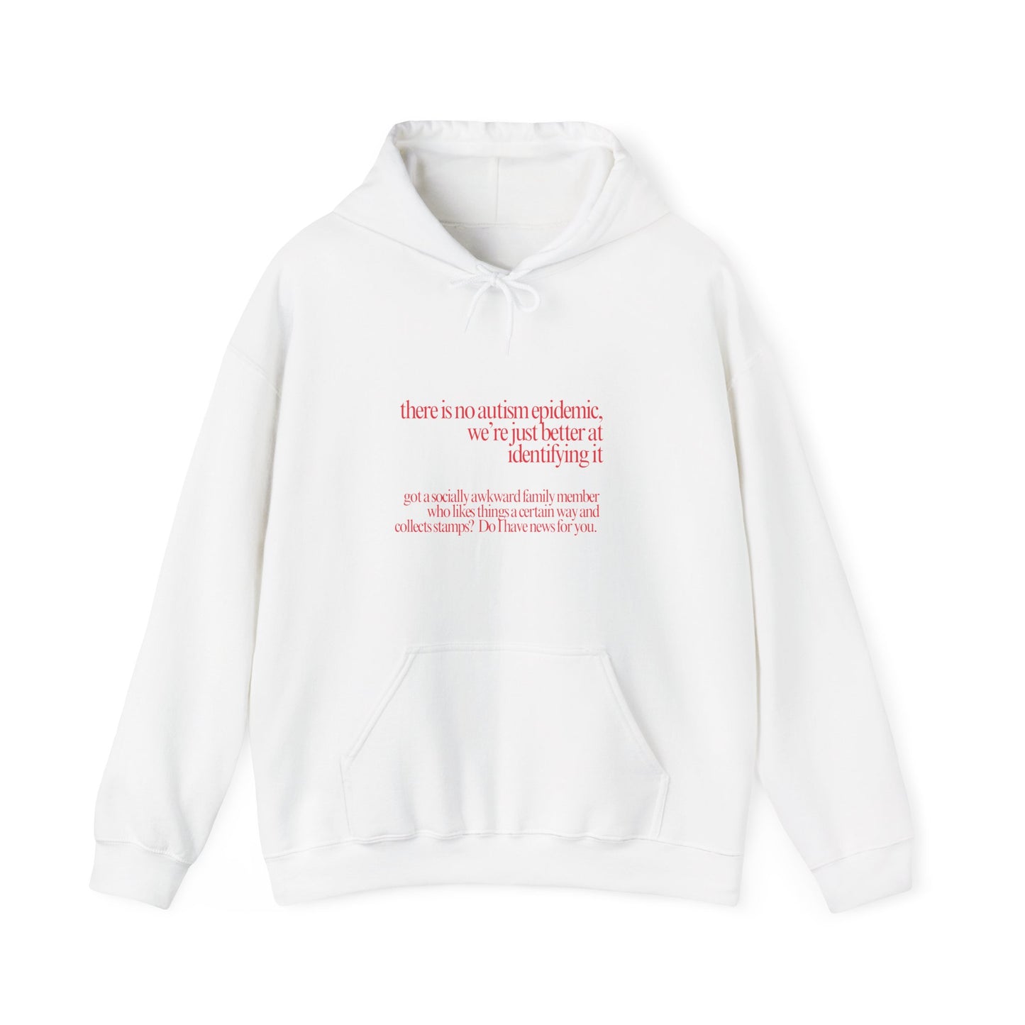 There is No Autism Epidemic Hooded Sweatshirt