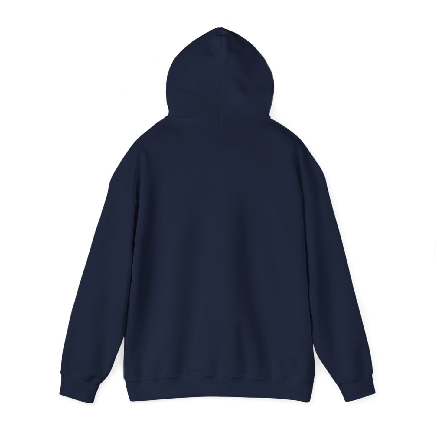 There is No Autism Epidemic Hooded Sweatshirt