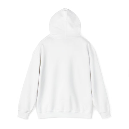 There is No Autism Epidemic Hooded Sweatshirt