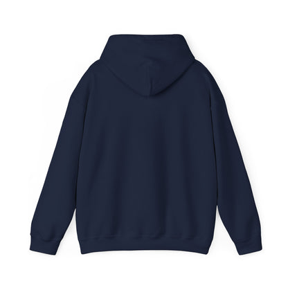 There is No Autism Epidemic Hooded Sweatshirt