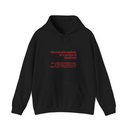 There is No Autism Epidemic Hooded Sweatshirt