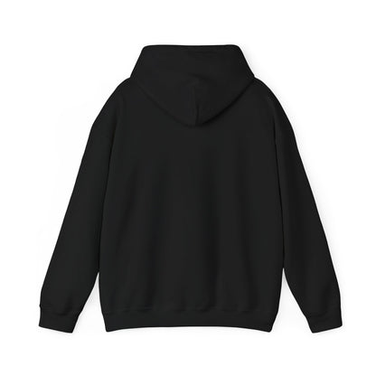 There is No Autism Epidemic Hooded Sweatshirt