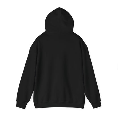 There is No Autism Epidemic Hooded Sweatshirt