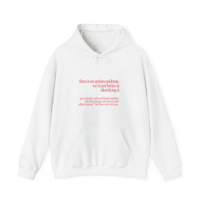 There is No Autism Epidemic Hooded Sweatshirt