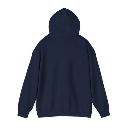 There is No Autism Epidemic Hooded Sweatshirt